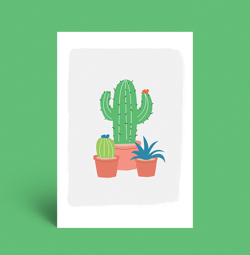 cactus9