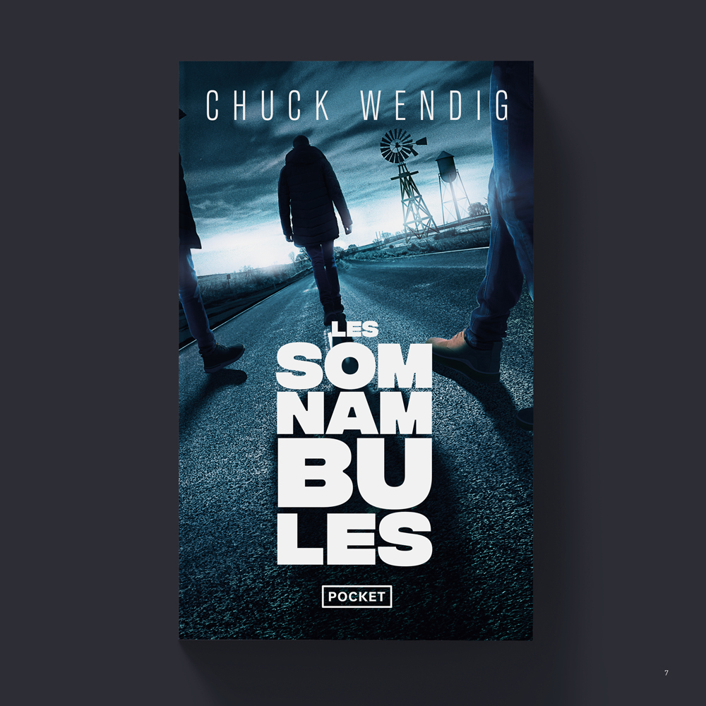 Vue_les_somnambules_7